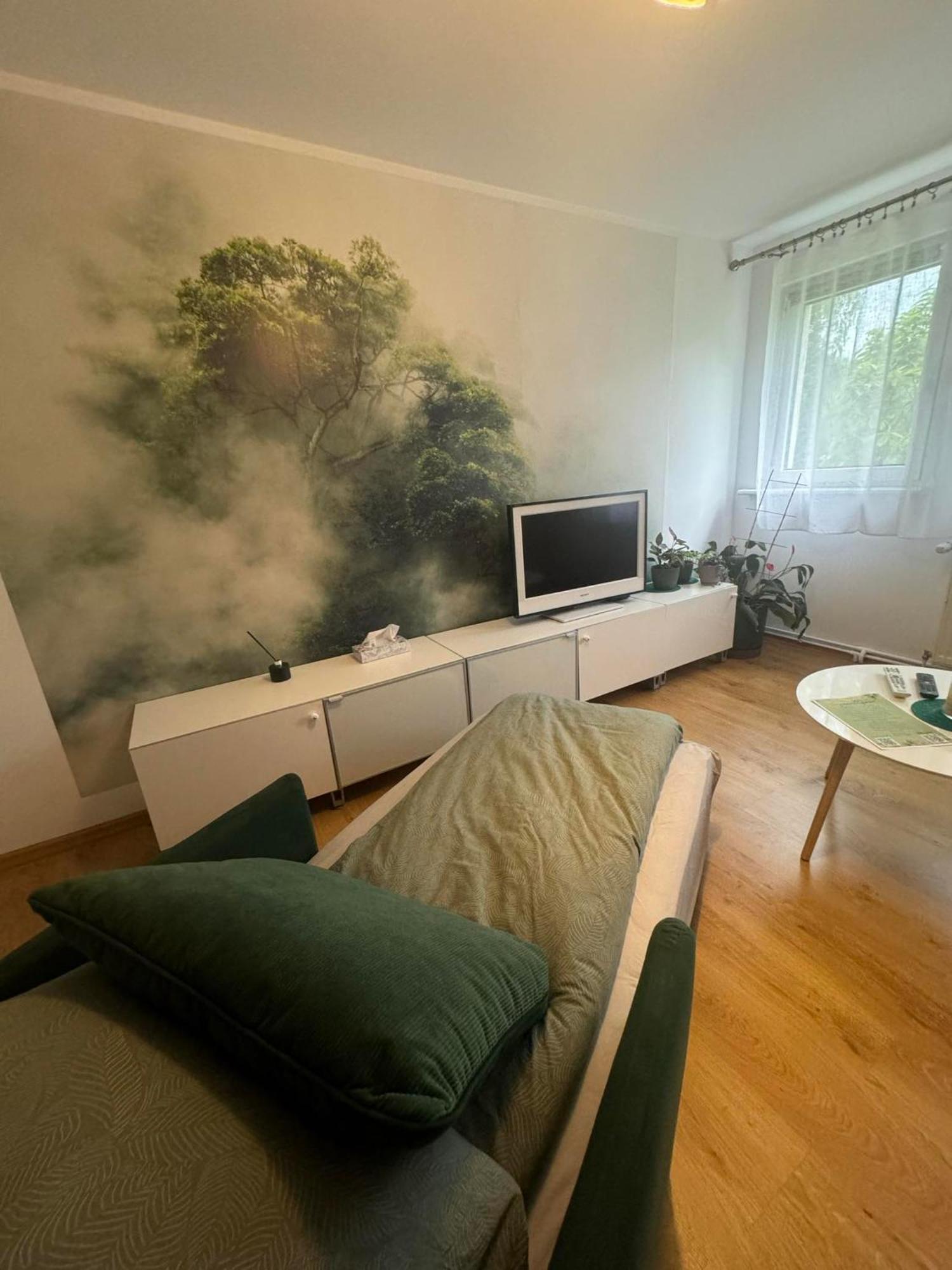Zielony Zakatek Piechowice  Chambre photo