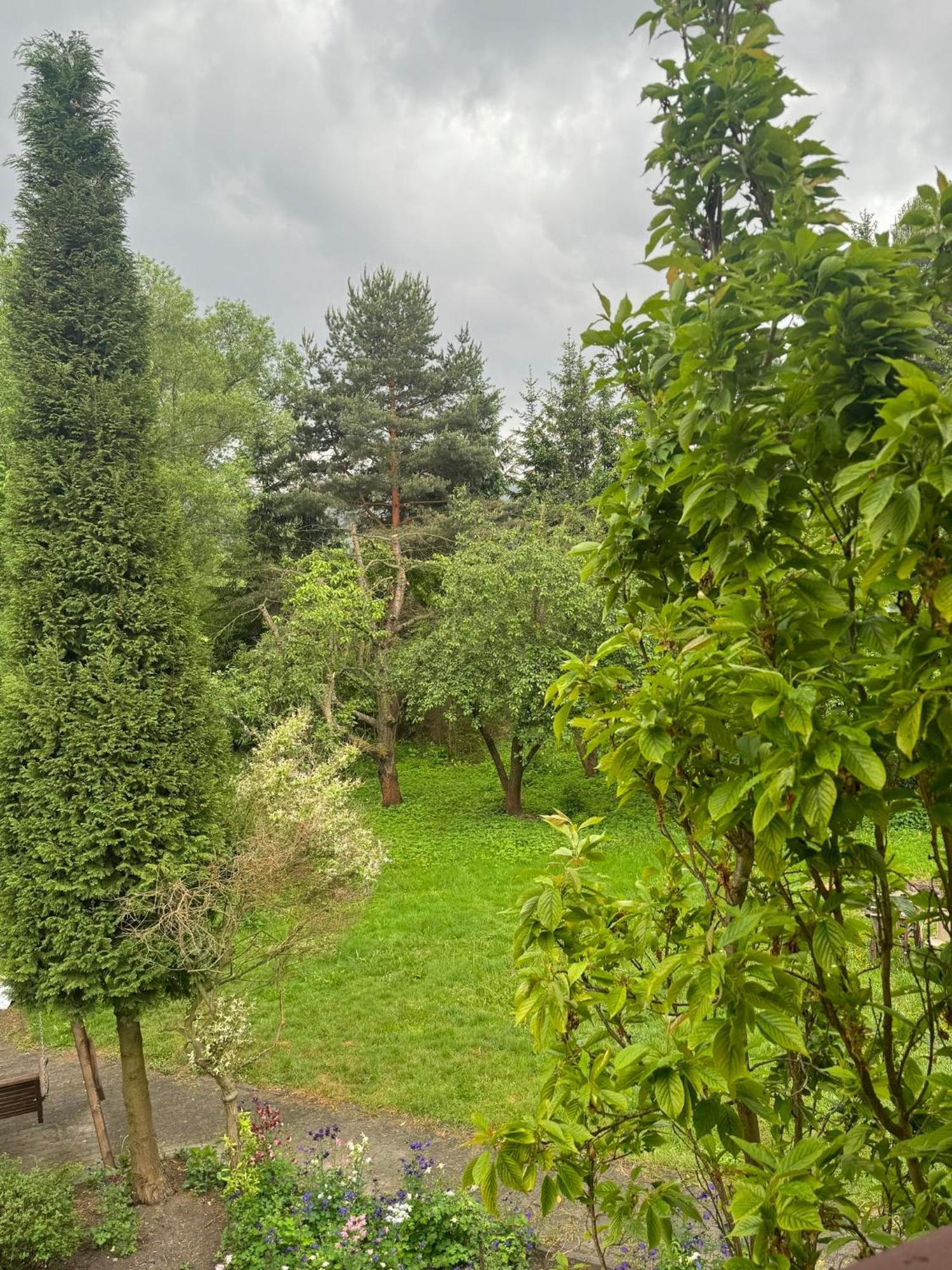Zielony Zakatek Piechowice  Chambre photo