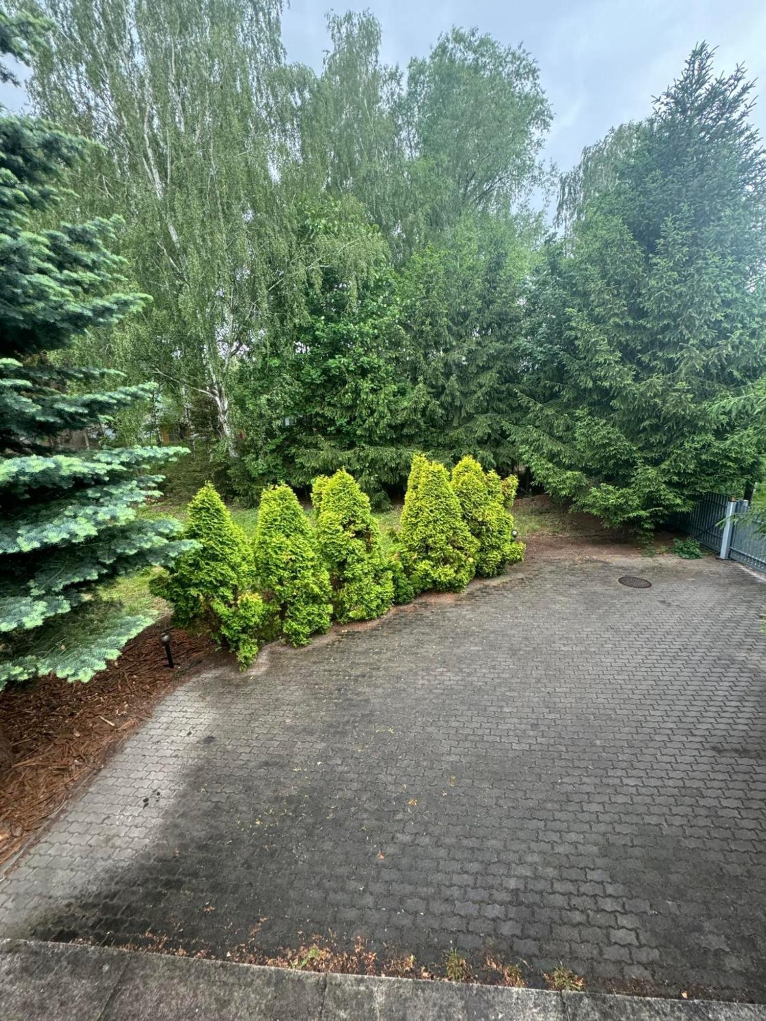 Zielony Zakatek Piechowice  Chambre photo